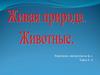 Живая природа