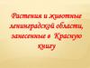 Растения и животные Ленинградской области, занесенные в Красную книгу
