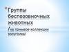 Группы беспозвоночных животных