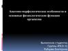 Анатомо - морфологические особенности и основные физиологические функции организма
