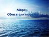 Море. Обитатели морей