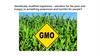 Genetically modified organisms - salvation for the poor and hungry or something poisonous and harmful for people?
