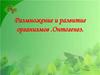 Размножение и развитие организмов. Онтогенез