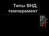 Типы ВНД, темперамент