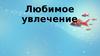 Любимое увлечение
