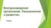 Воспроизведение организмов. Размножение и развитие