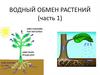 Водный обмен растений (часть 1)