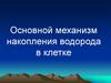 Основной механизм накопления водорода в клетке