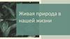 Живая природа в нашей жизни