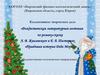 Рождественская литературная гостиная по роману-сказке А. В. Жвалевского и Е. Б. Пастернак «Правдивая история Деда Мороза»