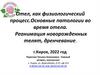 Отел, как физиологический процесс. Основные патологии во время отела. Реанимация новорожденных телят, дренчевание