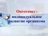 Онтогенез индивидуальное развитие организма