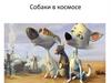 Собаки в космосе