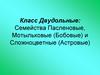 Класс Двудольные: Семейства Пасленовые, Мотыльковые (Бобовые) и Сложноцветные (Астровые)