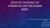 Study of the effect of vitamin B12 on the human body