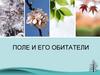 Поле и его обитатели
