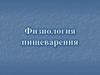 Физиология пищеварения