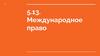 Международное право. Тема 5.13
