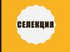 Селекция