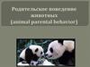 Родительское поведение животных (animal parental behavior)