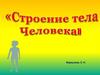 Строение тела человека