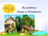 Животные дикие и домашние