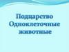 Общая характеристика одноклеточных организмов