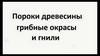 Пороки древесины: грибные окрасы и гнили
