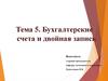 Бухгалтерские счета и двойная запись. Тема 5