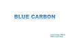 Blue carbon. Lecture 5