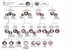 Royal Family Tree