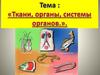 Ткани, органы, системы органов
