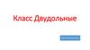 Класс Двудольные