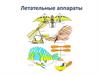 Летательные аппараты