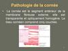 Pathologie de la cornée