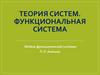 Теория систем. Функциональная система