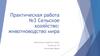 Практическая работа №3. Сельское хозяйство: животноводство мира