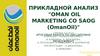 Прикладной анализ "Oman Oil marketing CO Saog (OmanOil)"