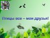 Птицы все - мои друзья