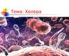 Холера. Возбудители холеры