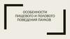 Особенности полового и пищевого поведение пауков