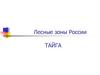 Лесные зоны России. Тайга