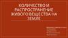 Количество и распространение живого вещества на земле