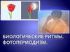 Биоритмы и фотопериодизм