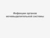 Инфекции органов мочевыделительной системы