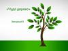 Чудо дерево