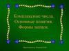 Комплексные числа. Основные понятия. Формы записи