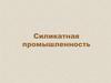 Силикатная промышленность