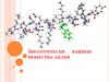 Биологически важные вещества: белки