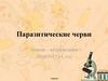 Медицинская гельминтология. Паразитические черви